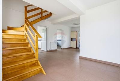 Teren Construcții intravilan de 43708 mp, în Scobâlțeni - 14