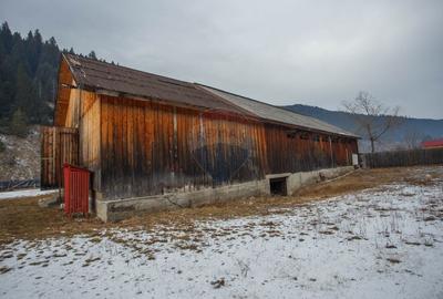 Spațiu industrial, de 450 mp, în Borca - 9