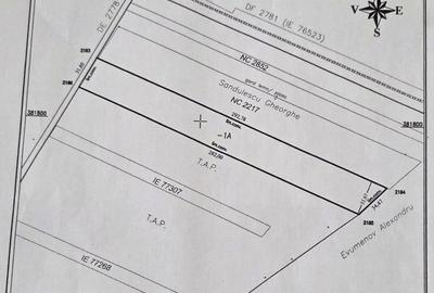 Teren de 9103 mp, în Răzvad - 4