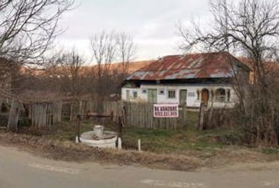 Teren de 6000 mp, în Priboieni - 2