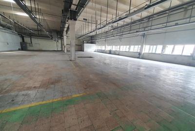 Hală + birouri  la parter 1.000 mp.zona Tudor 3 5 euro mp - 4