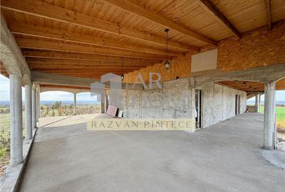 Pensiune 6 camere, teren 12713 mp, Dealul Mare, Urlati, Prah - 12