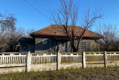 Casă cu 3 camere cu Teren 2040 Mp în Dragoș Vodă - 4