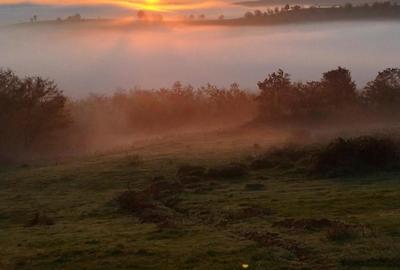 Casă cu 3 camere în Brusturi - 1