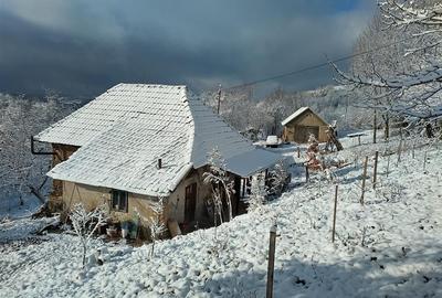 Casa cu teren si padure la tara - 15