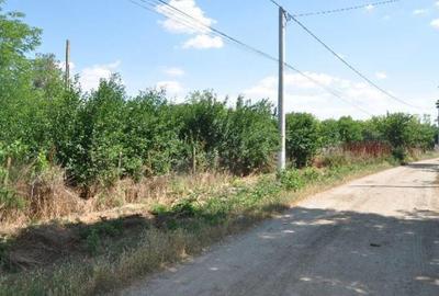 Casă cu 1 camere cu Teren 2832 Mp în Ciulnița - 4