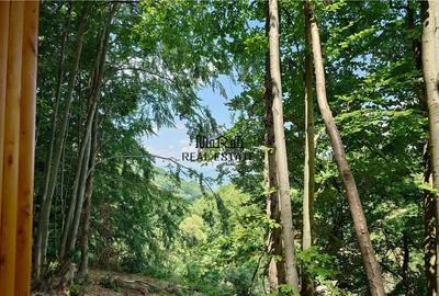 Teren de 5727 mp, în Buceș - 10