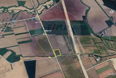 Teren Construcții intravilan de 6600 mp, în Faraoani - 2