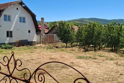 Spațiu comercial, în Mâsca - 4