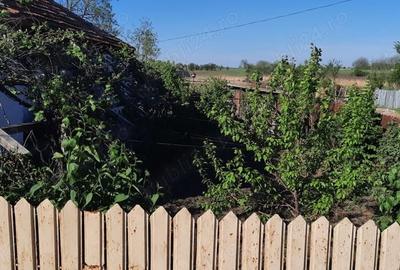 Teren de 1500 mp, în Săgeata - 2