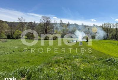 Teren de 2500 mp, în Valea Chioarului - 2