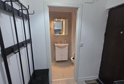 Garsonieră semidecomandată, mobilată în Timișoara - 7