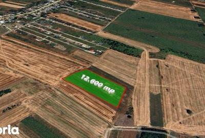 Teren de 12600 mp, în Săbăreni