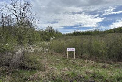 Spațiu comercial, în Eșelnița - 8