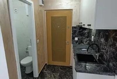 Garsonieră decomandată, mobilată în Podu Roș - 3