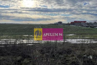 Teren Mihailesti- langa Dovinot. - 2