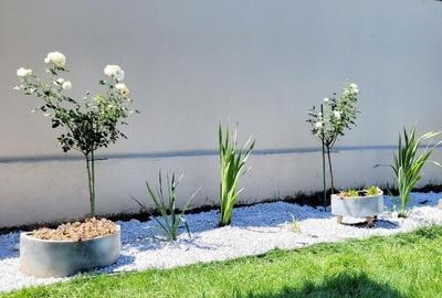 Vand casa central, str. Pacii, Bacau, Renovata 2023 - 4