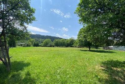 Casă cu 3 camere cu Teren 2000 Mp în Vad - 1