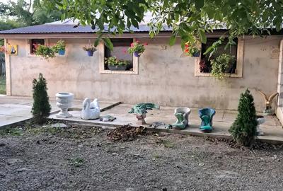 Vand casa sat.Costesti com.Rachiti jude? Boto?ani - 4