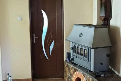 Casă cu Teren 2500 Mp în Negreni - 3