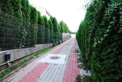 Bucium - Pleiada, locuinta P+M, disponibila imediat! Bun venit acasa! - 2