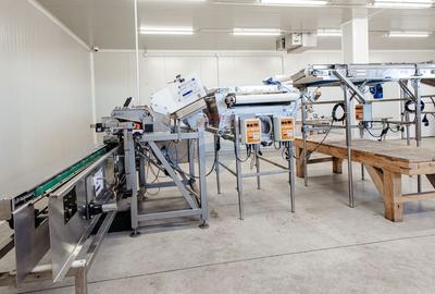 DE VANZARE una dintre cele mai moderne plantatii de afin din Romania - 7