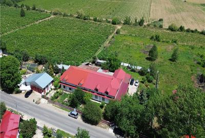 Casă cu 5 camere cu Teren 1550 Mp în Odobești - 6