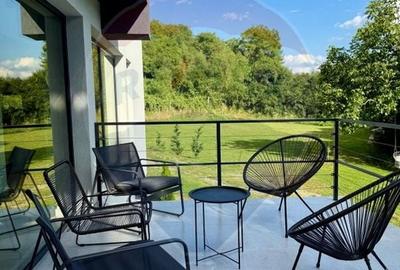 Proprietate specială, de 280 mp, în Almaș - 53