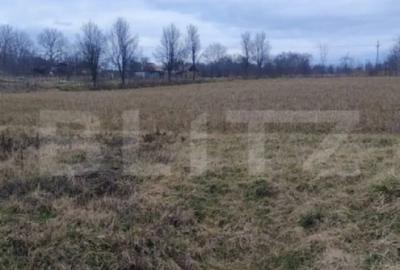 Casă cu 4 camere în Central - 17