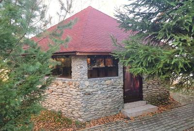 Hotel/Pensiune, de 2,800 mp, în Sâmbăta de Sus - 19