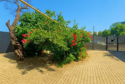 Apartament 3 camere in vila - 5