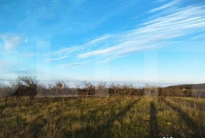 Teren de 1038 mp, în Central