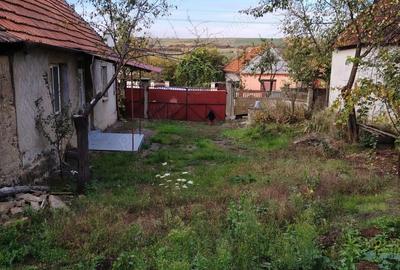 Vand casa in satul Derni?oara,jud. Bihor - 10