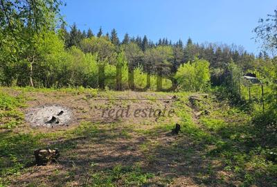 Teren intravilan | langa padure si parau | Luncani/Bacau - 7