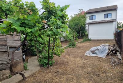 Casă individuală cu 3 camere cu Canalizare în Viile Noi - 7