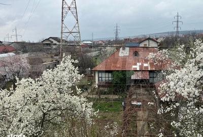 Casă cu 2 camere cu Teren 1442 Mp în Calea București - 4