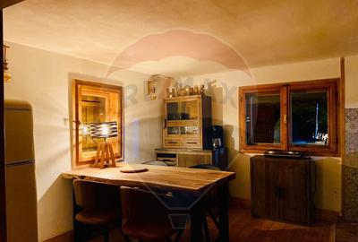 Casa de vacanta la munte de vanzare - 2