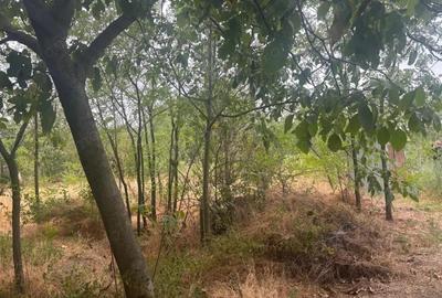 Casa recent renovata, 2023 mp teren, comuna Leu , RATE !!! - 14