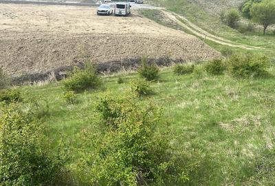 Teren Construcții intravilan de 1000 mp, în Corunca - 8