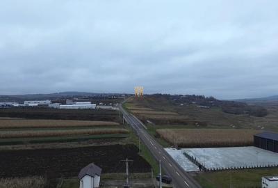 Teren de 14066 mp, în Mihoveni - 10