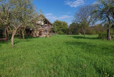 Teren splendid Vaduri cu utilita?i si vecini de calitate - 3