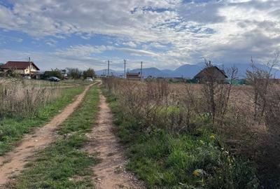 Teren dezvoltare rezidentiala Tarlungeni - zona Izvor - 10