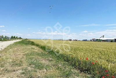 Teren de 21354 mp, în Central - 3