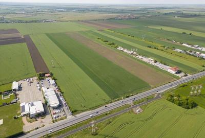 Teren 16.575 mp Arad / Soseaua DN79 - 2