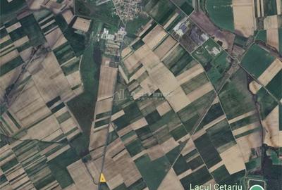 Teren de 3000 mp, în Sălard - 1
