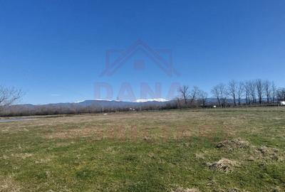 Teren agricol extravilan de 20000 mp, în Vest - 3