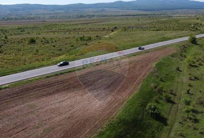 Teren de 33000 mp, în Bolotești - 1