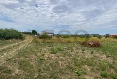 Teren de 3373 mp, în Cihei - 6