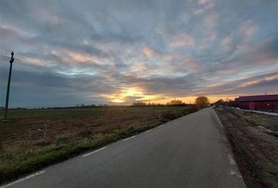 Teren pentru proiect rezidential sau industrial in Sanpaul - 3