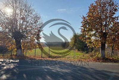 Teren de 12650 mp, în Ghirdoveni - 10